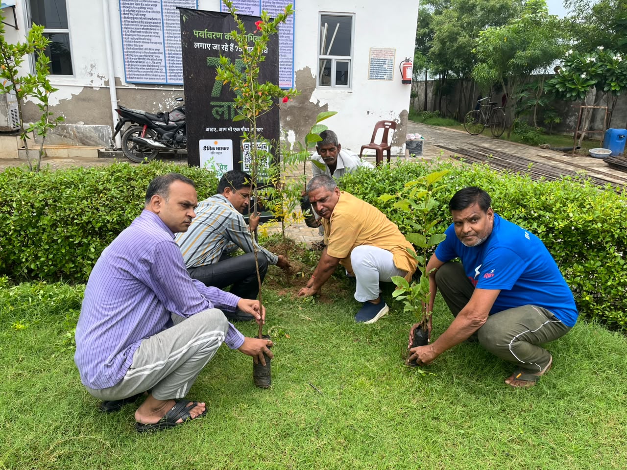 plantation